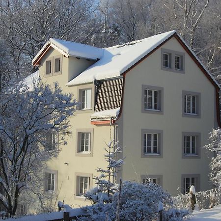 Pytloun Penzion Zelený Háj Liberec Exterior foto
